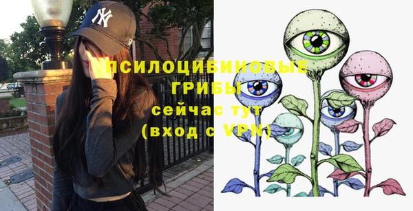 шишки Вязьма